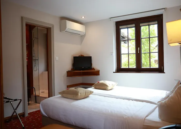 Hotel - Restaurant Le Cerf & 4*